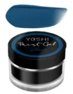 PG_Blue_P_1