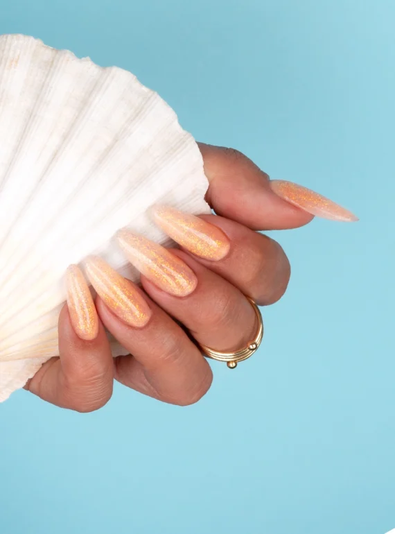 Coral_Coast_P_05