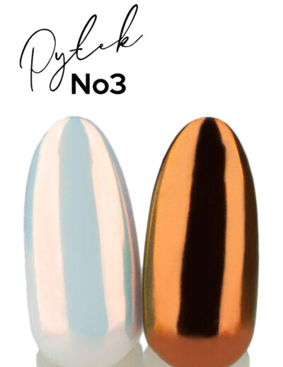 Pyłek_No3_P_03_N